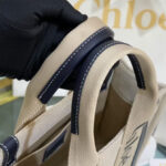 Chloe Small Woody Tote Bag